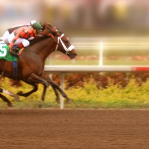 John McCririck claims age&nbsp;discrimination