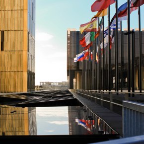 Brief respite for businesses following Safe Harbour&nbsp;ruling